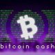 Bitcoin Cash se Bifurca