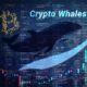El bitcoin se acerca a los 50.000 dólares en medio de una crisis de oferta provocada por las ballenas; he aquí el motivo
